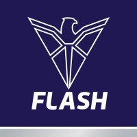Flash Electronics Pvt. Ltd. Hiring 2025